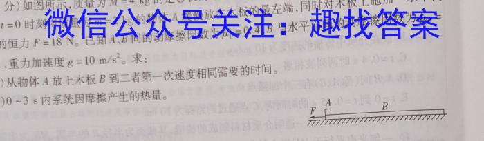 学科网2023年高三5月大联考考后强化卷(新教材)l物理