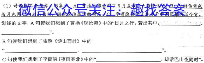 江西省重点中学九江六校2022-2023学年高一下学期期末联考语文