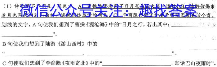 2023年新高考全国Ⅱ卷数学高考真题文档版（含答案）语文