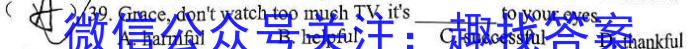 普高联考2022-2023学年高三测评(六)英语