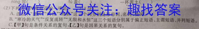 2023年陕西省初中学业水平考试信息卷（C）A语文