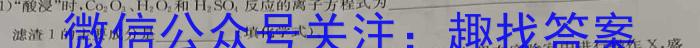 衡中同卷2022-2023学年度下学期高三五调考试 新高考化学