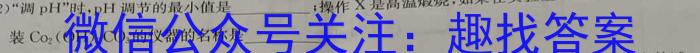 2023年湖北大联考高三年级5月联考（517C·HUB）化学