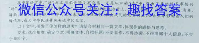 湖南省郴州市2023届高三全真模拟适应性考试（5月）语文