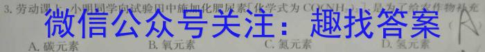 2023年中考密卷·临考模拟卷(一)1化学