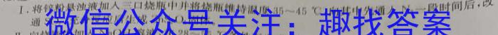 陕西省西安市2023年九年级教学质量检测B（△）化学