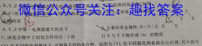 九师联盟 2022-2023学年高三年级高考仿真模拟考试化学