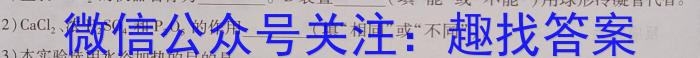 炎德英才大联考 长郡中学2023届模拟试卷(二)化学