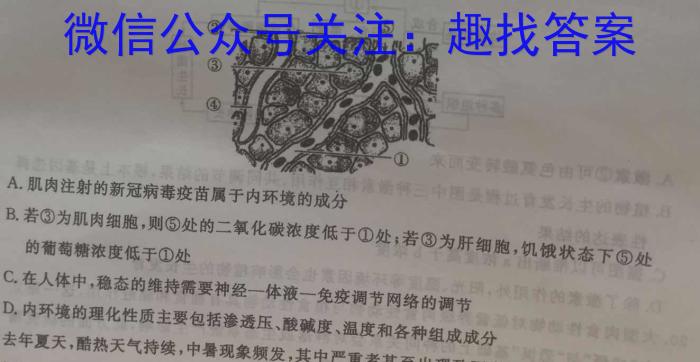 安徽省2024-2023学年九年级联盟考试（四）生物