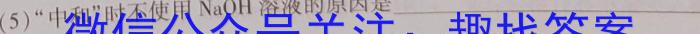 安徽省合肥市包河区2022-2023学年第二学期教学质量检测（二）化学
