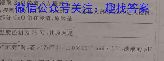 2023年河北省初中毕业生升学文化课模拟测评(十二)化学