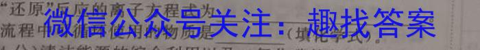 京星 2023届高考冲刺卷(一)化学