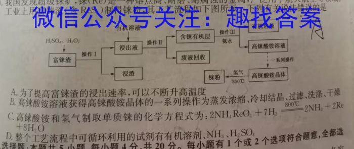 2023年“万友”中考突破卷（二）化学