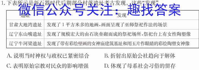 运城市2022-2023学年第二学期九年级教学质量监测（23-CZ175c）历史