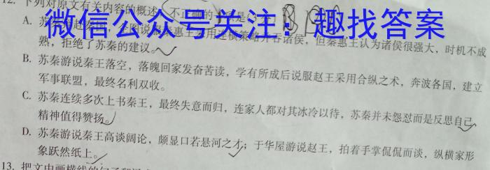 2023年陕西省初中学业水平考试信息卷(C)语文