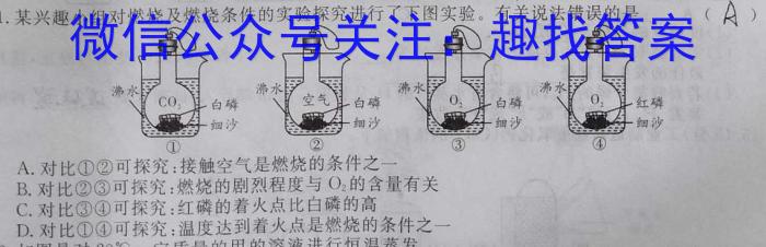 2023年安徽省中考冲刺卷(二)化学