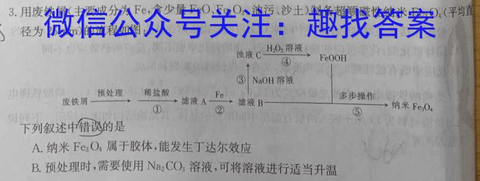 2023年河北省初中毕业生升学文化课模拟测评(十二)化学