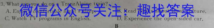 安徽省2023年名校之约大联考·中考导向压轴信息卷(5月)英语