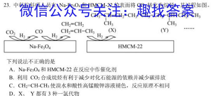 2023年湖南省普通高中学业水平合格性考试高一仿真试卷(专家版四)化学