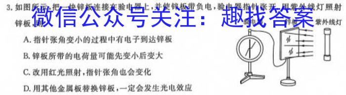 安徽省芜湖市无为市2024-2023学年九年级中考模拟检测（二）q物理