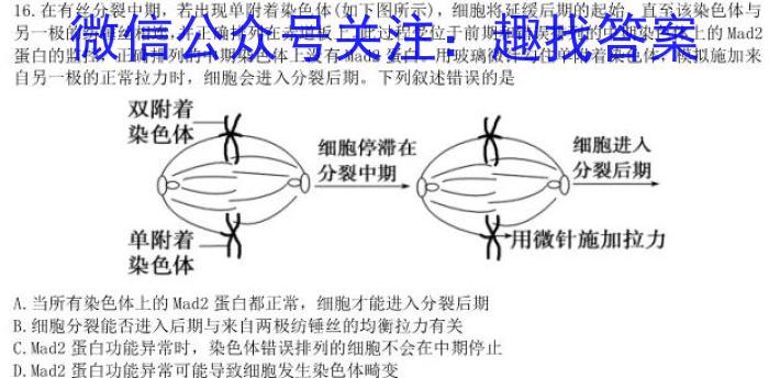 2023年安徽省中考冲刺卷(二)生物