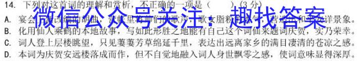 湖南省岳阳市岳阳县第一中学2022-2023学年高二下学期期末考试政治1