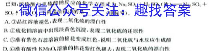 学林教育 2023年陕西省初中学业水平考试·冲刺压轴模拟卷(三)3化学