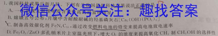 2023届中考导航总复*·模拟·冲刺·二轮模拟卷(四)4化学