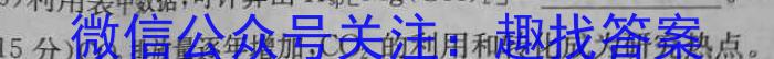 2023年湖南省普通高中学业水平合格性考试高一仿真试卷(专家版六)化学