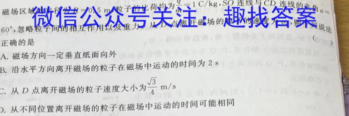 耀正文化 合肥八中2023届最后一卷q物理