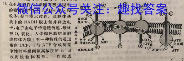 中考模拟压轴系列 2023年河北省中考适应性模拟检测(仿真一)生物