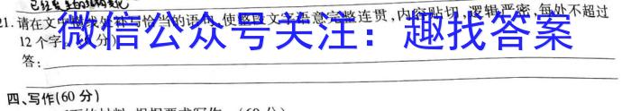 九师联盟 2024届全国高三单元定向检测卷 老高考 英语(六)6答案