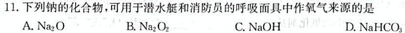 2023年中考密卷·临考模拟卷(二)化学