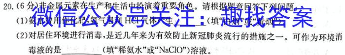 [晋一原创测评]山西省2023年初中学业水平考试模拟测评（六）化学