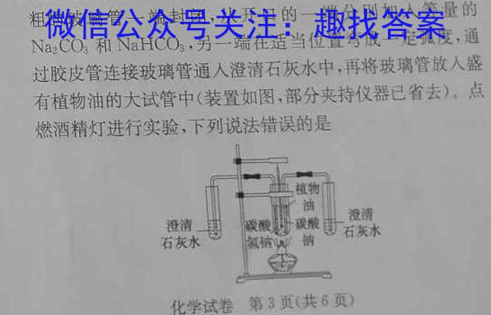 2023届陕西省第十次模拟考试化学