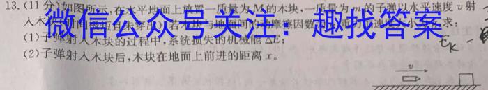 2023年河北省初中毕业生升学文化课考试 冲刺(一)1f物理