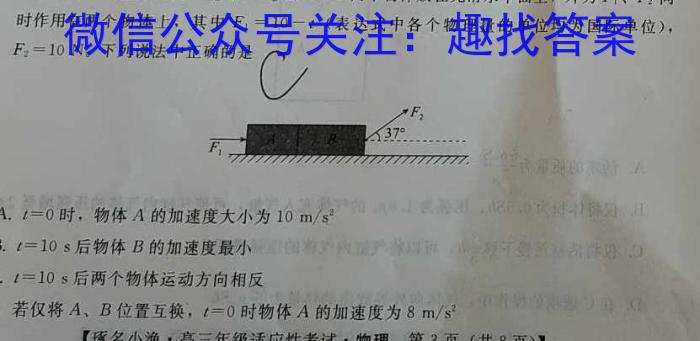 云南师大附中(师范大学附属中学)2023届高考适应性月考卷(十).物理