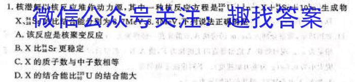 中考模拟压轴系列 2023年河北省中考适应性模拟检测(仿真一)l物理