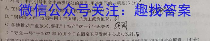 广东省2023年普通高等学校招生全国统一考试押题试卷(5月)语文