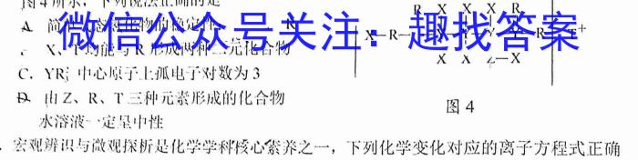 安徽省2022-2023学年度第二学期九年级G5联动教研第一次调研（下学期）化学