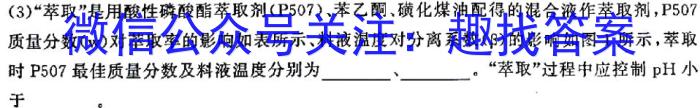 文博志鸿 2023年河北省初中毕业生升学文化课模拟考试(密卷二)化学