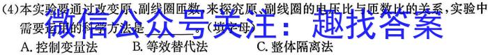 河南省2023年九年级考前适应性评估二z物理