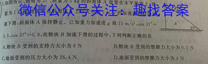 江西省2023年初中学业水平考试适应性试卷（三）物理`