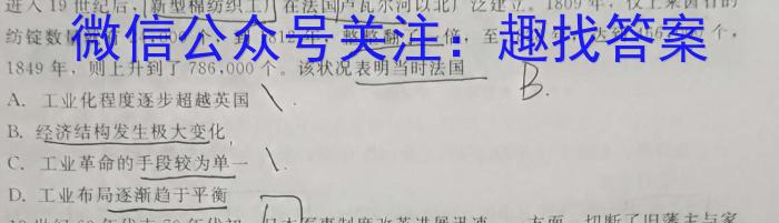 天一大联考 2022-2023学年高三考前模拟考试历史