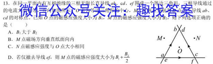 2023年普通高等学校招生伯乐马押题考试(二)l物理