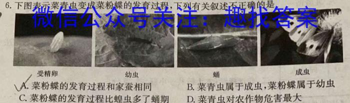 龙岩市2022-2023学年第二学期期末高二教学质量检查生物试卷答案