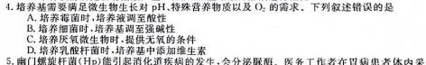 山东省2023年普通高等学校招生考试模拟试题(2023.5)生物