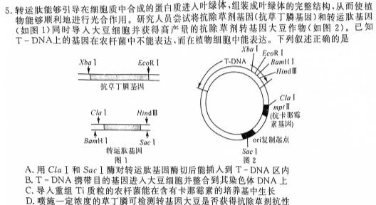 黑龙江2022-2023学年度高二下学期期中教学质量检测(8143B)生物