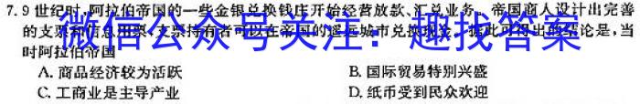 陕西师大附中2024-2023学年度初三年级第五次适应性训练历史