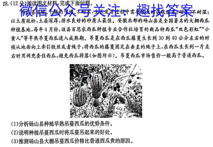 2023届柳州高中/南宁三中高三(5月)联考l地理